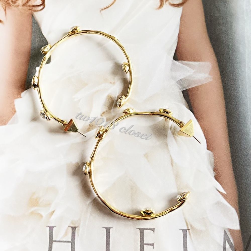 Alexis Bittar Nanette Crystal Hoop Earrings - Picture 10 of 11